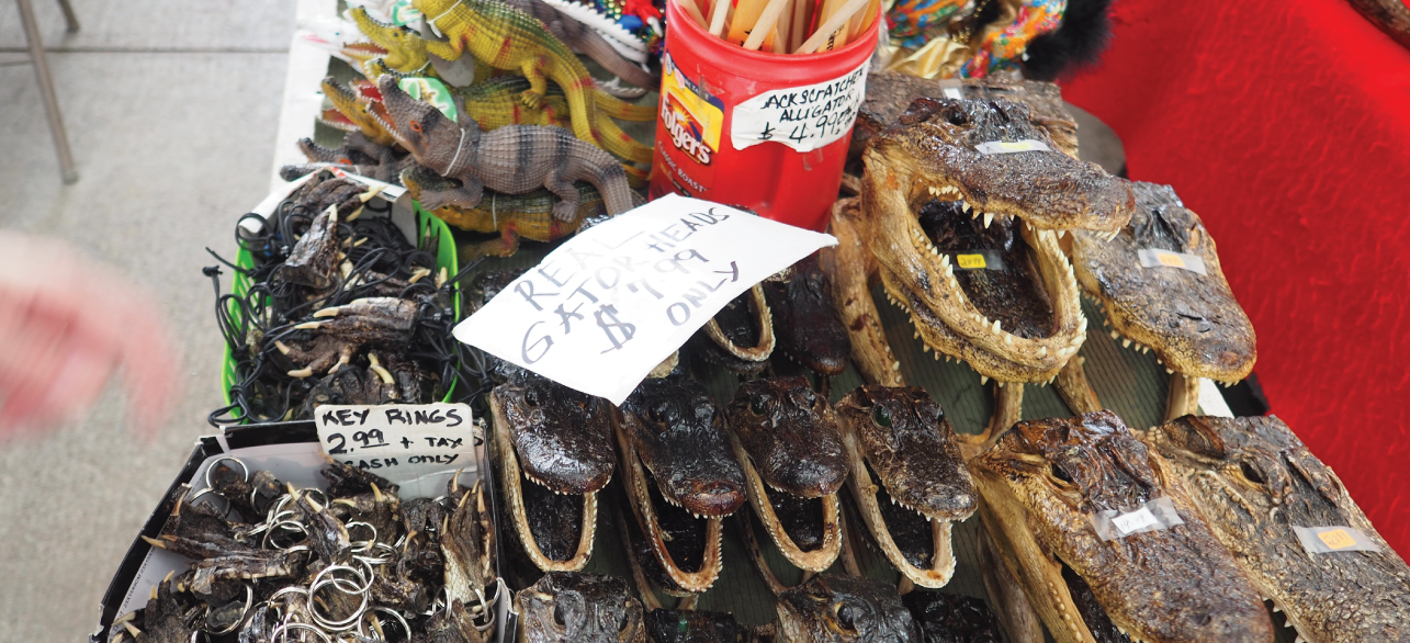 Alligator heads for sale on French Market